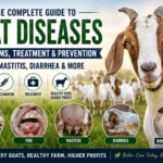 Goat disease guide
