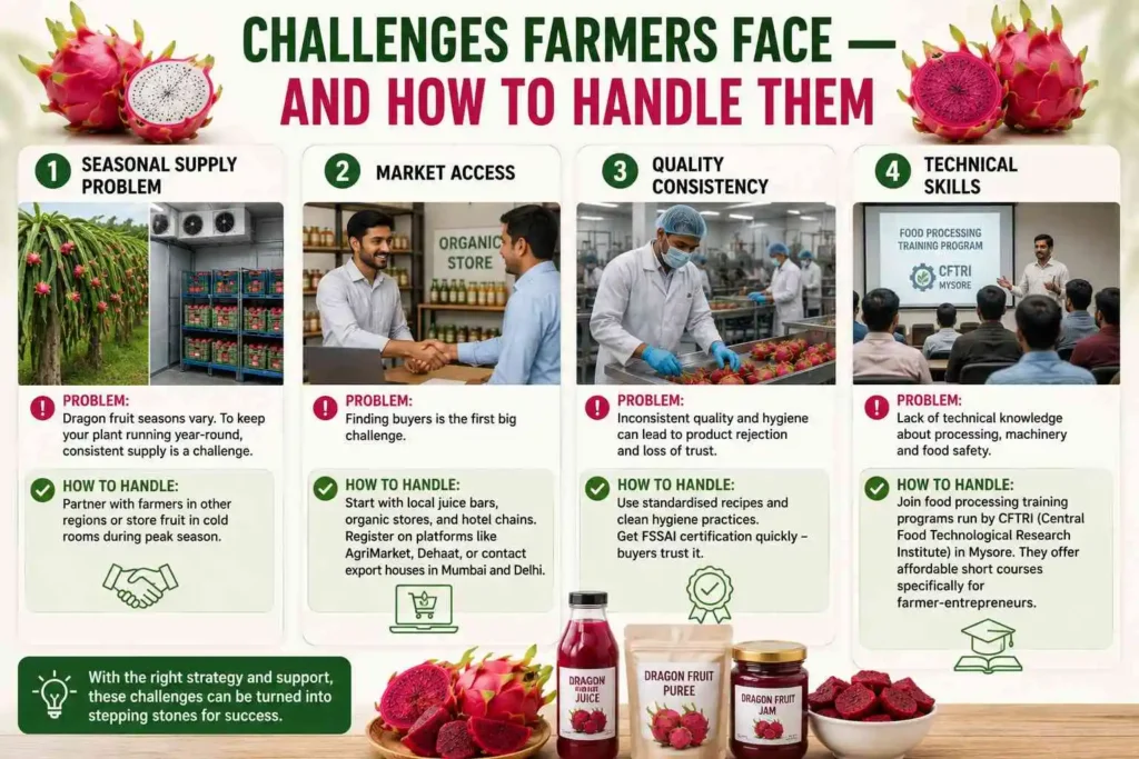 Challenges Farmers Face — And How to Handle Them