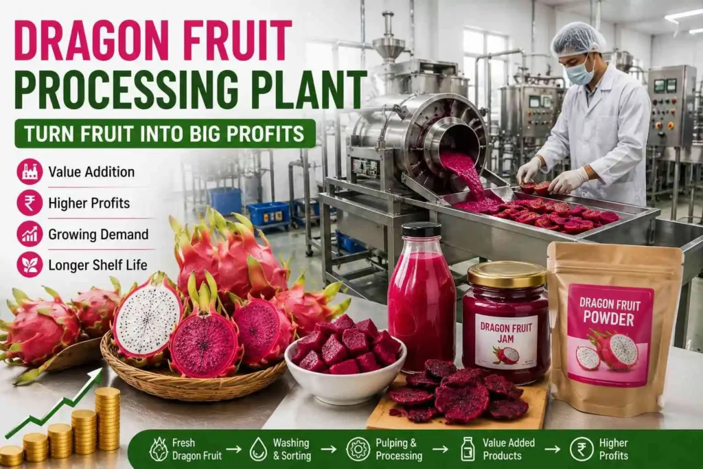 Dragon Fruit Processing Plant