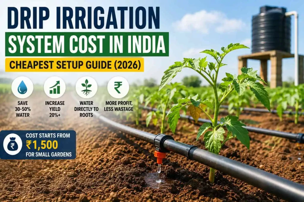 Drip Irrigation System Cost