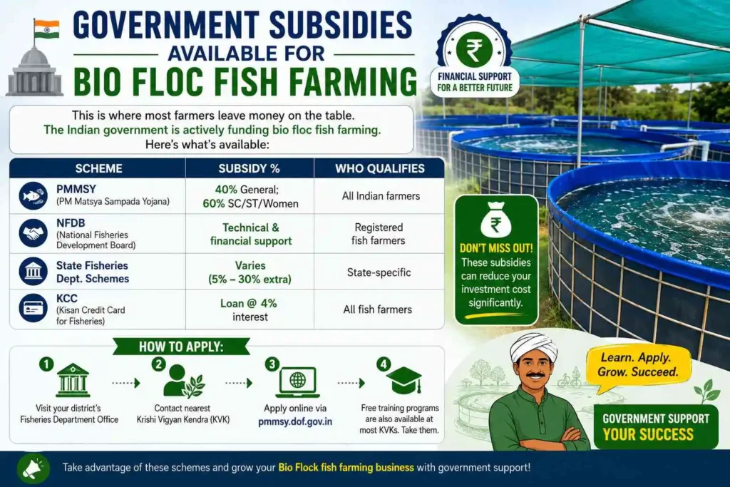Government Subsidies Available for Bio Flock Fish Farming