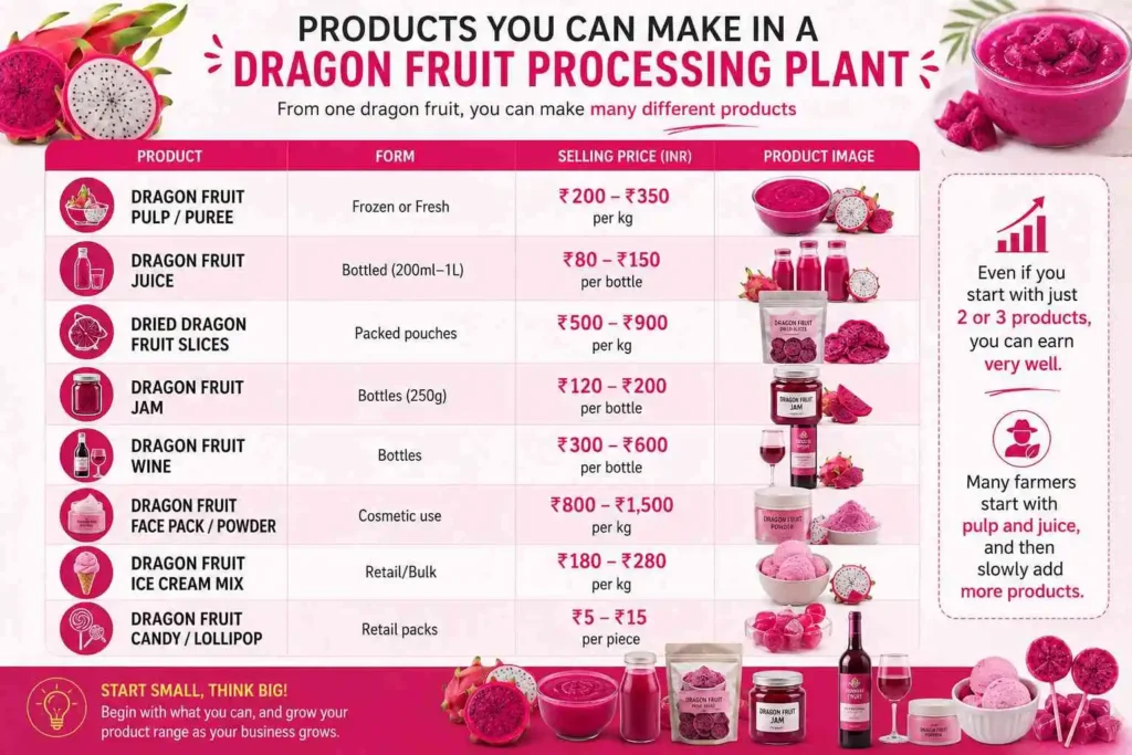 Products You Can Make in a Dragon Fruit Processing Plant