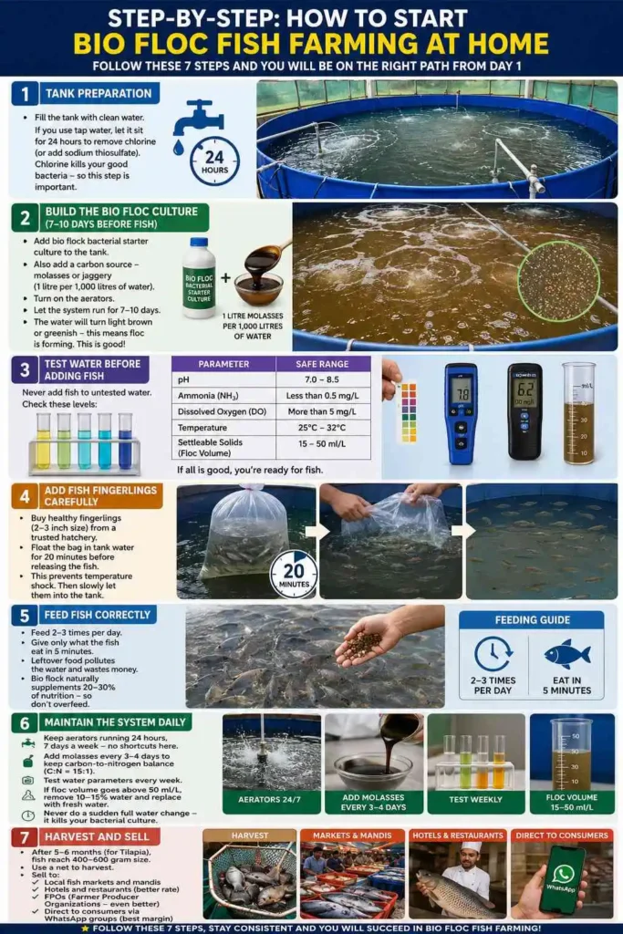 Step-by-Step: How to Start Bio Flock Fish Farming at Home
