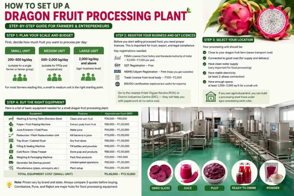 How to Set Up a Dragon Fruit Processing Plant: Step-by-Step