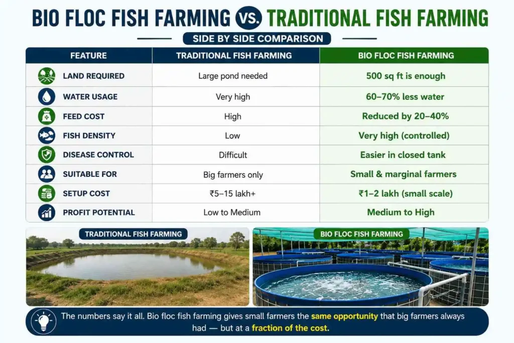 Bio Flock Fish Farming vs. Traditional Fish Farming: Side by Side