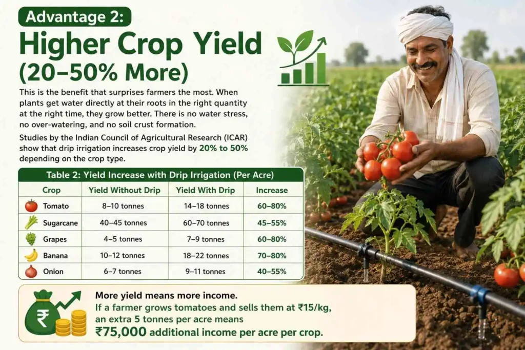 Advantage 2: Higher Crop Yield (20–50% More)