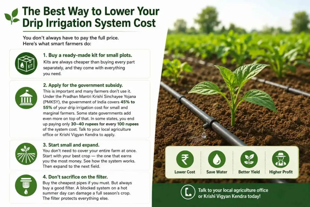 The Best Way to Lower Your Drip Irrigation System Cost