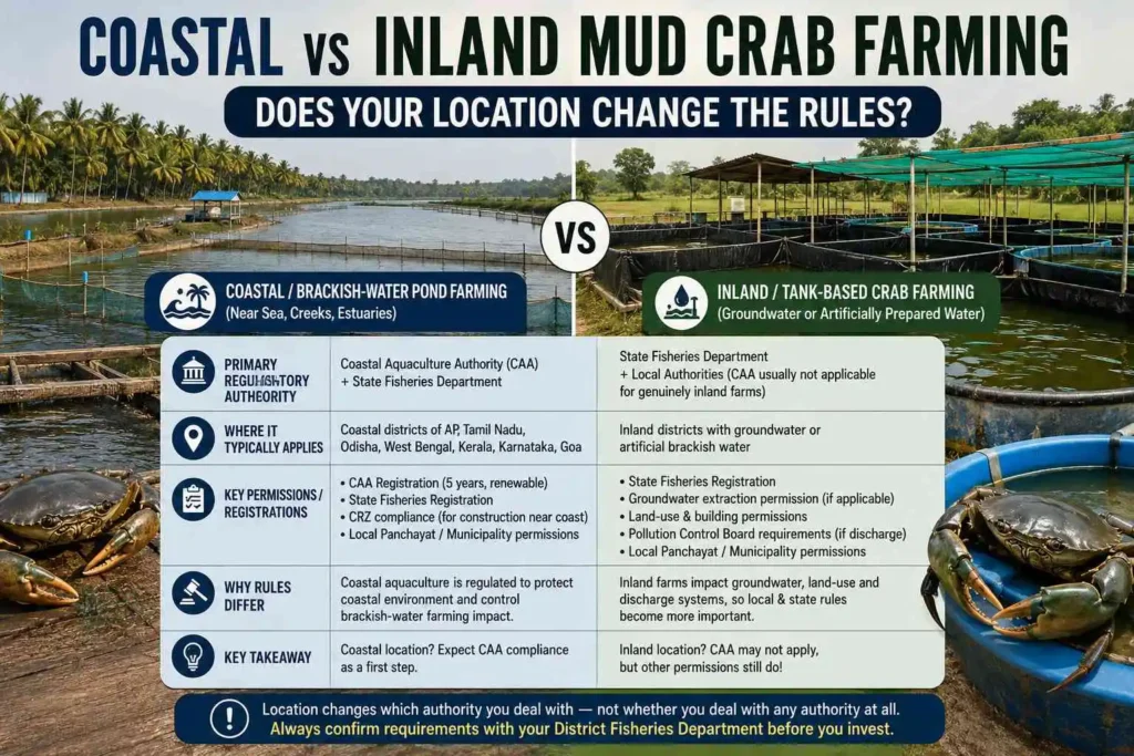 Coastal vs Inland Mud Crab Farming: Does Your Location Change the Rules?
