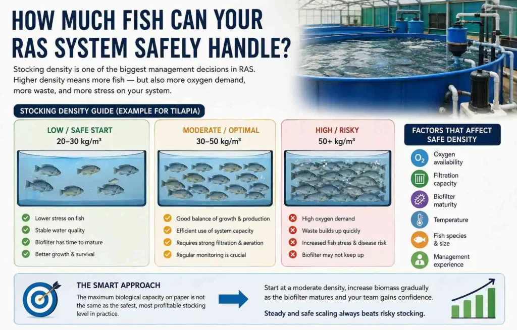 How Much Fish Can Your RAS System Safely Handle?