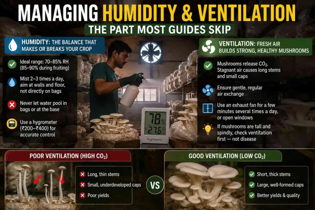 Managing Humidity and Ventilation — The Part Most Guides Skip