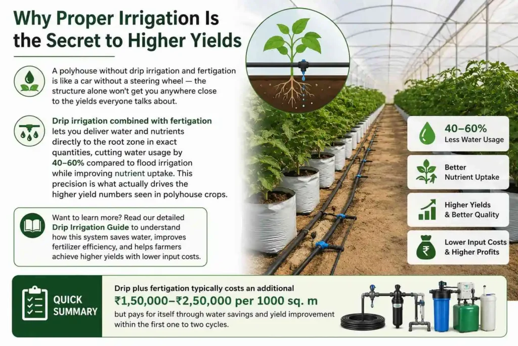 Why Proper Irrigation Is the Secret to Higher Yields