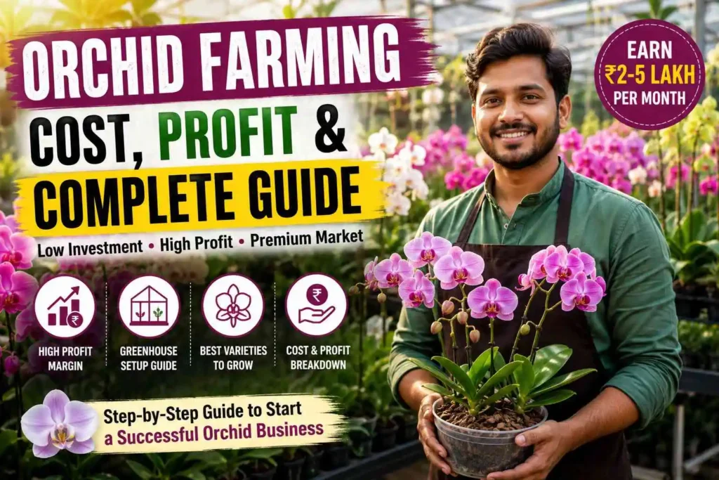 Orchid Farming: Cost, Profit & Complete Guide