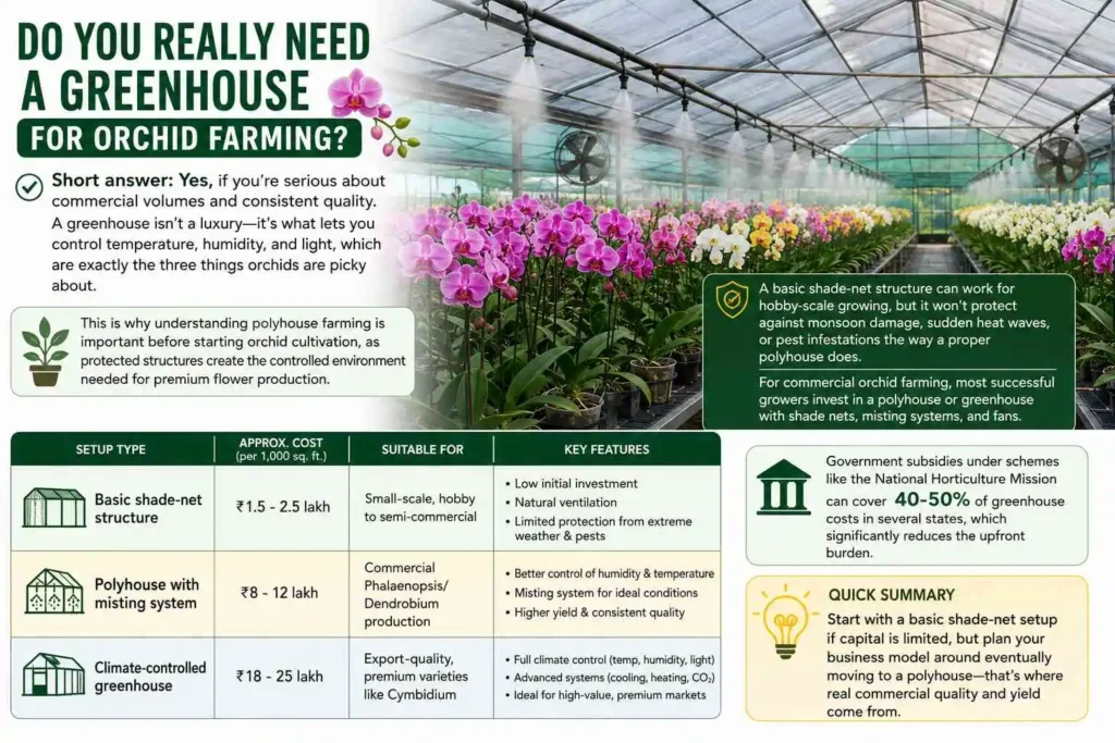 Do You Really Need a Greenhouse for Orchid Farming?