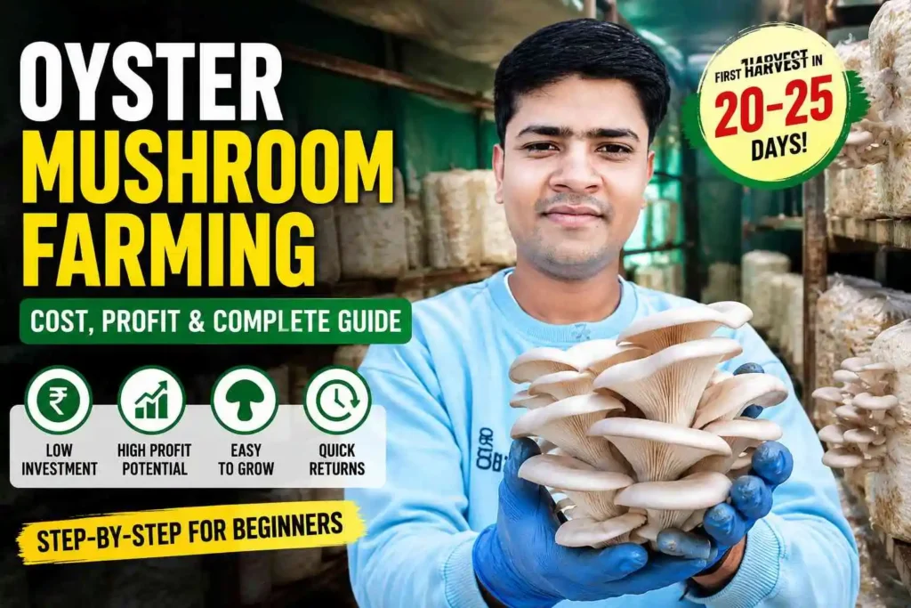 Oyster Mushroom Farming