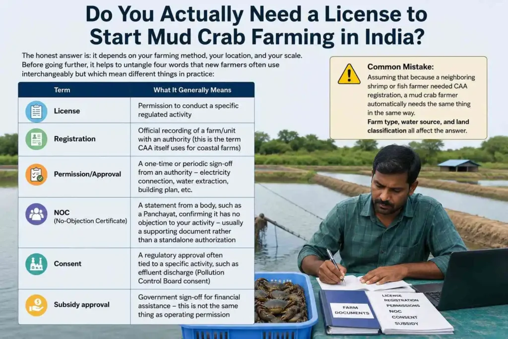 Do You Actually Need a License to Start Mud Crab Farming in India?