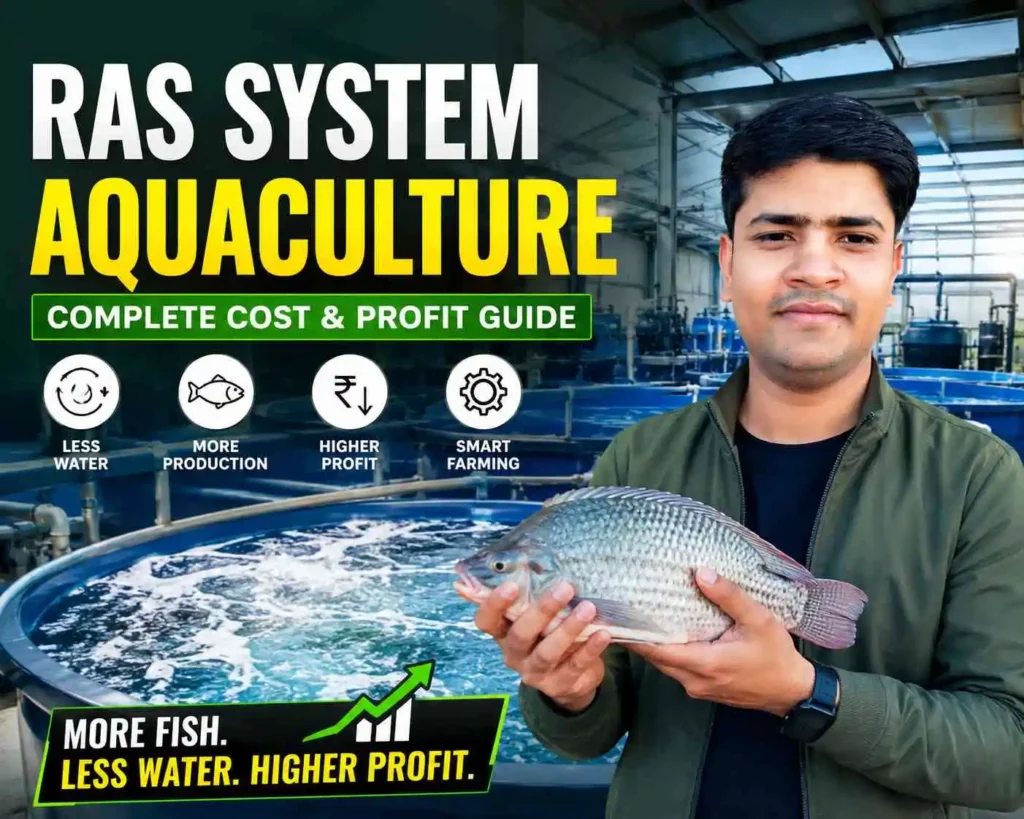 RAS System Aquaculture