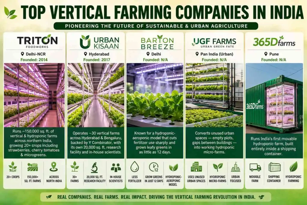 Top Vertical Farming Companies in India