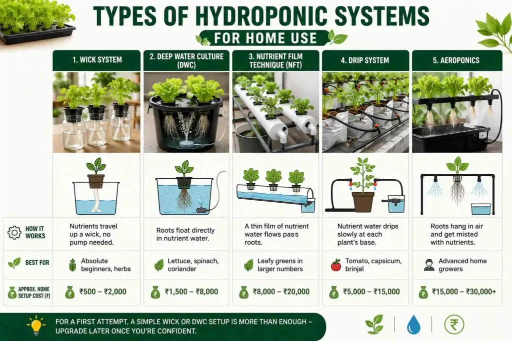 Types of Hydroponic Systems for Home Use