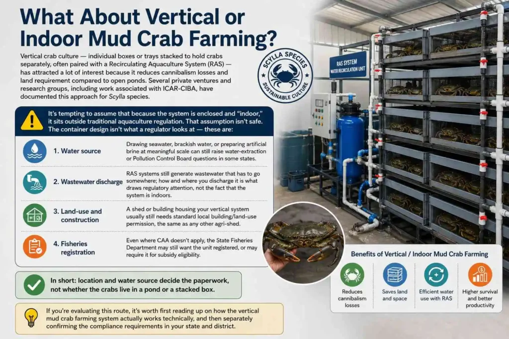 What About Vertical or Indoor Mud Crab Farming?