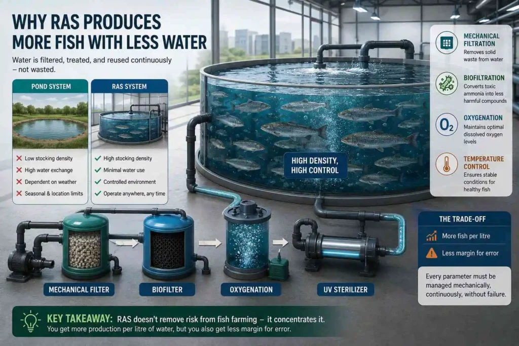 Why RAS System Aquaculture Can Produce More Fish With Less Water