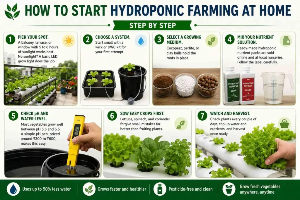How to Start Hydroponic Farming at Home: Step by Step