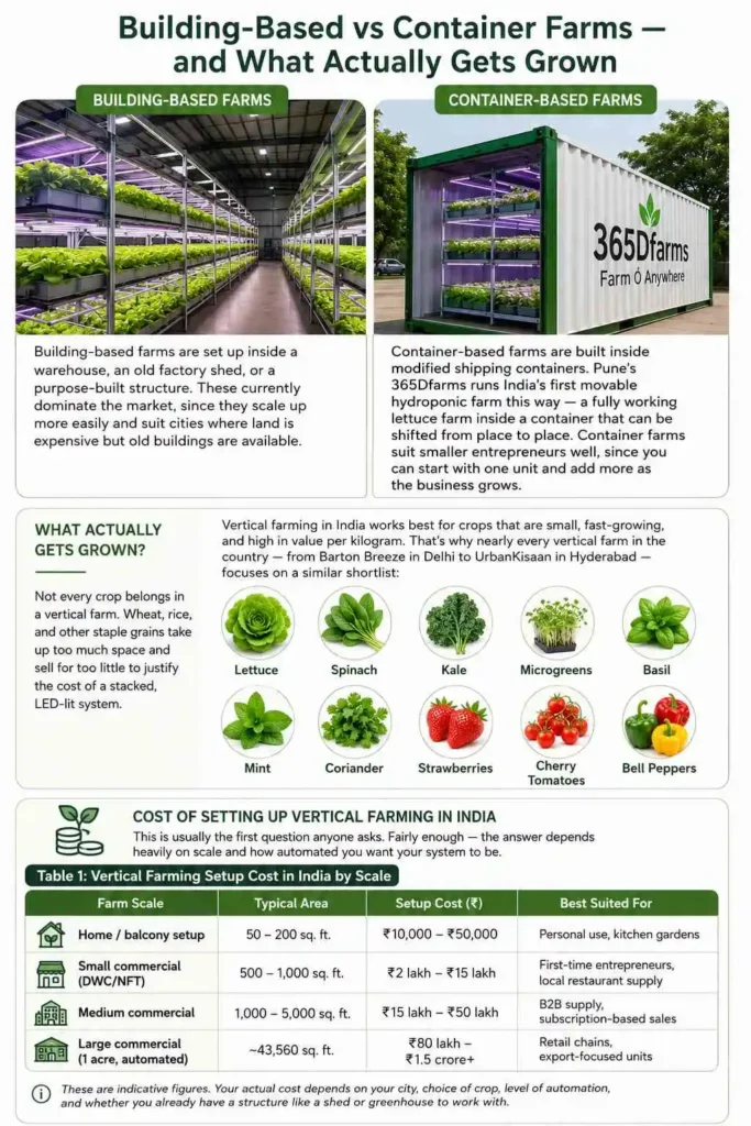 Building-Based vs Container Farms — and What Actually Gets Grown