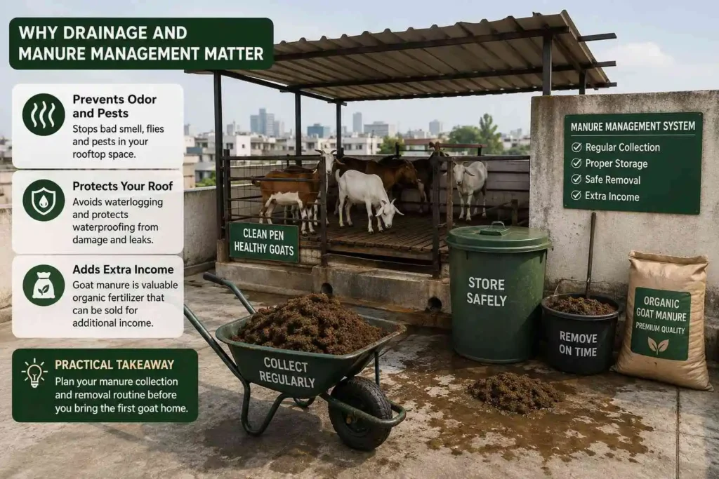 Why Drainage and Manure Management Matter More Than You Think