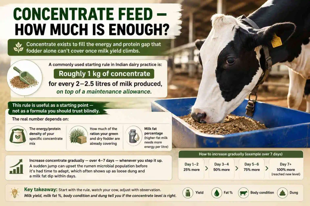 Concentrate Feed — How Much Is Enough?