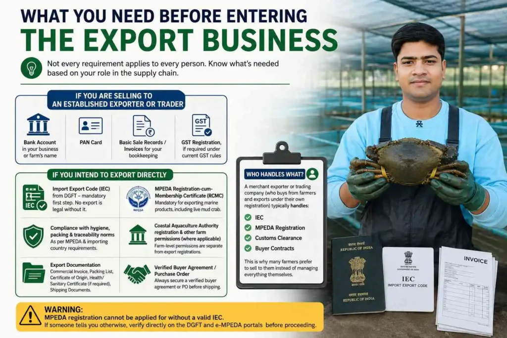 What You Need Before Entering the Export Business