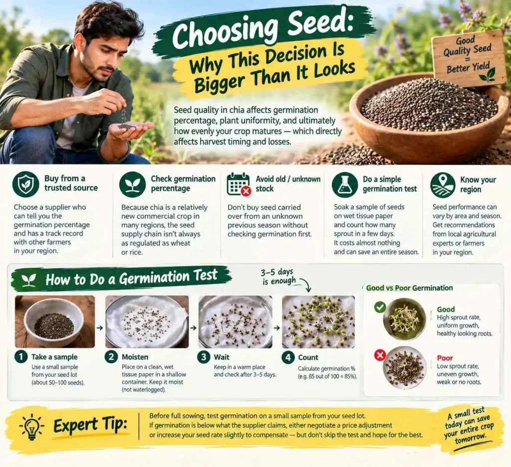 Choosing Seed: Why This Decision Is Bigger Than It Looks