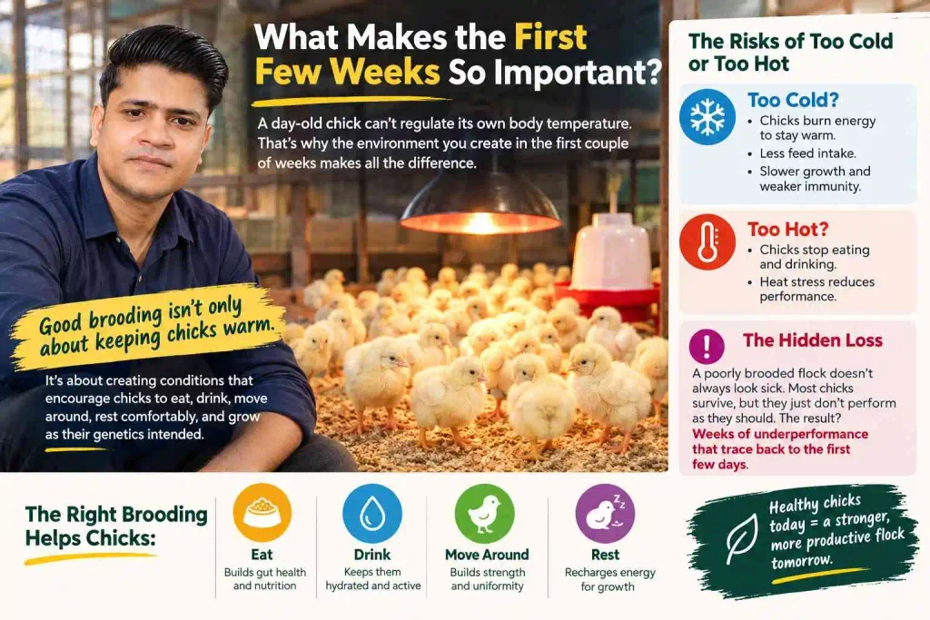 What Makes the First Few Weeks So Important?