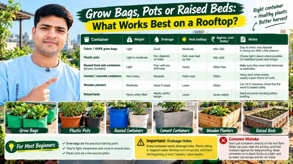 Grow Bags, Pots or Raised Beds: What Works Best on a Rooftop?