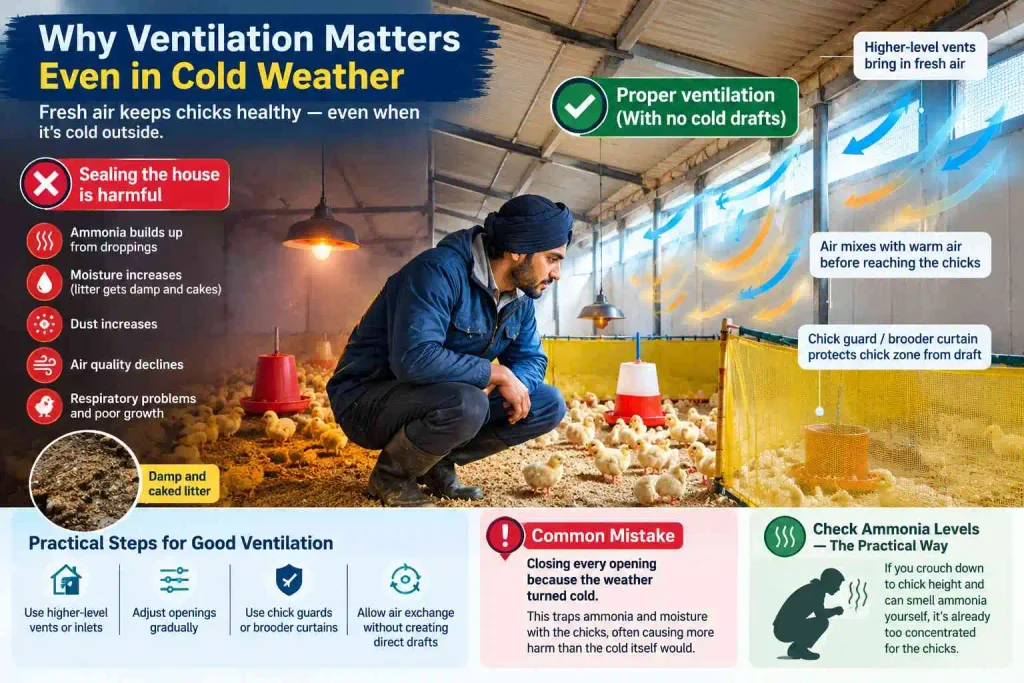 Why Ventilation Matters Even in Cold Weather